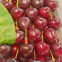 美食分享 篇三十一：适合送人的精品大樱桃