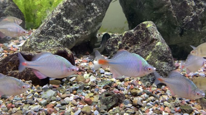 创星水族设备