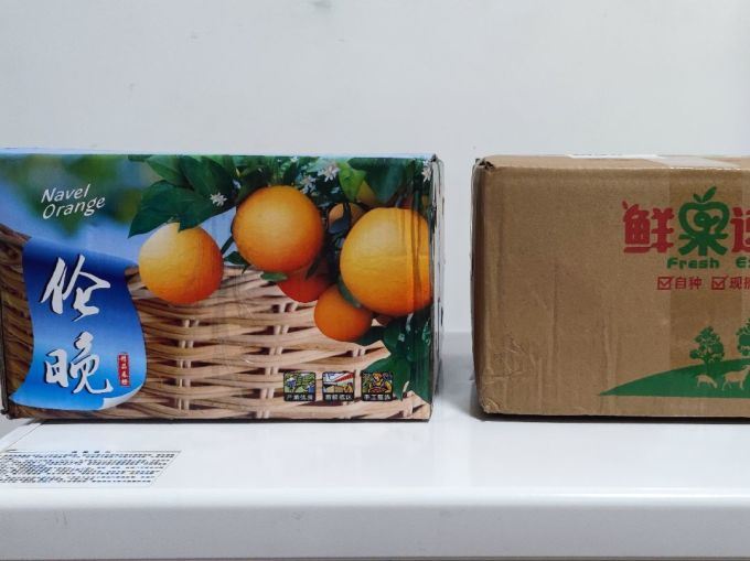 伦晚橙子