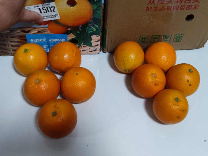 伦晚橙子