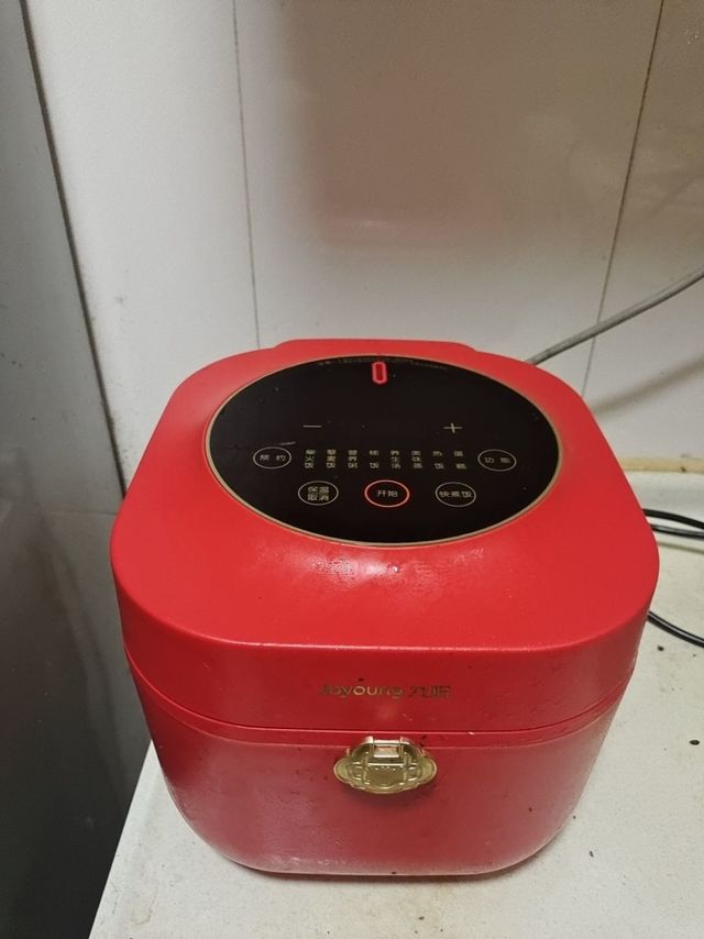 单身狗的电饭煲