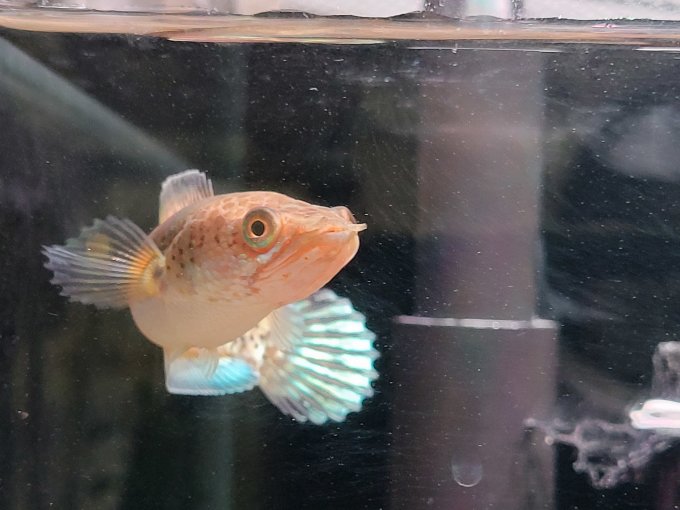 现代教育出版社温控器材