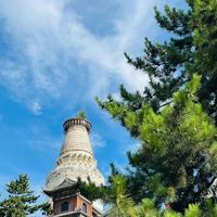 忻州春游寻宝记——山西景点推荐