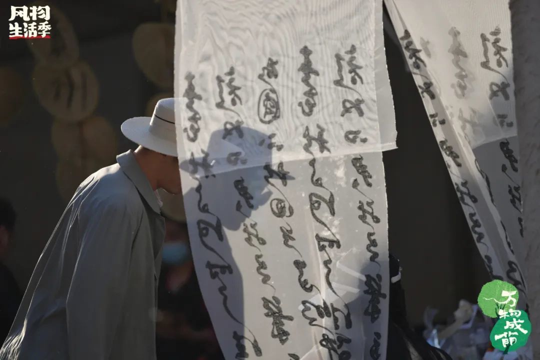 风物生活季·万物成荫 | 五一在北京想躲避人山人海？这里有个好去处推荐给你