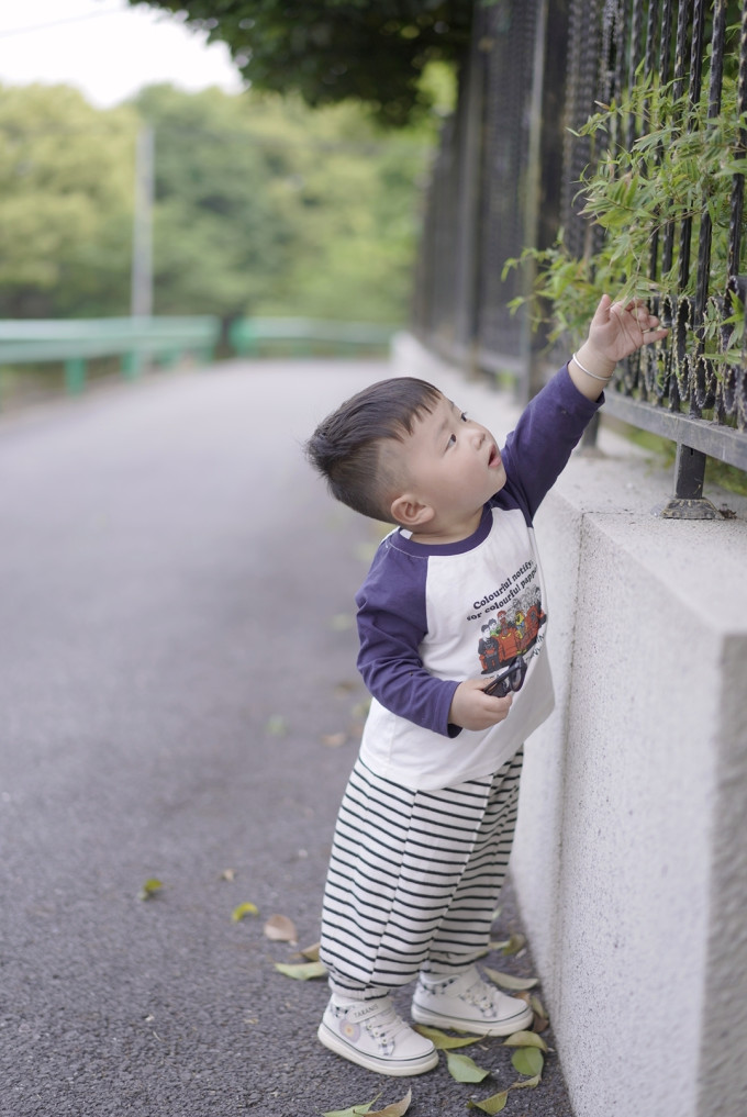 泰兰尼斯童鞋