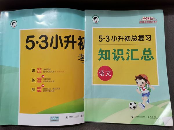 小升初复习白菜价