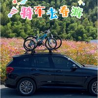 骑车去春游是不是很酷！