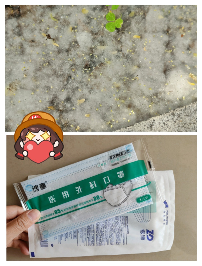 漫天飞舞的柳絮,唯有口罩方能一战_什么值得买