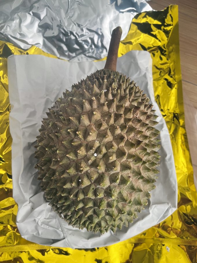 村小二榴莲