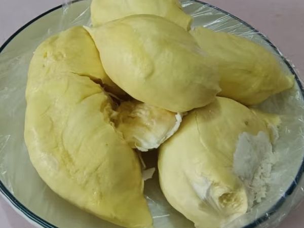 买个报恩的榴莲去露营吧！