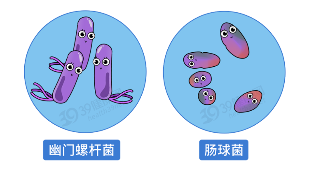 “阿莫西林”要认清,只对6种病有效!用对是宝,用错是害药