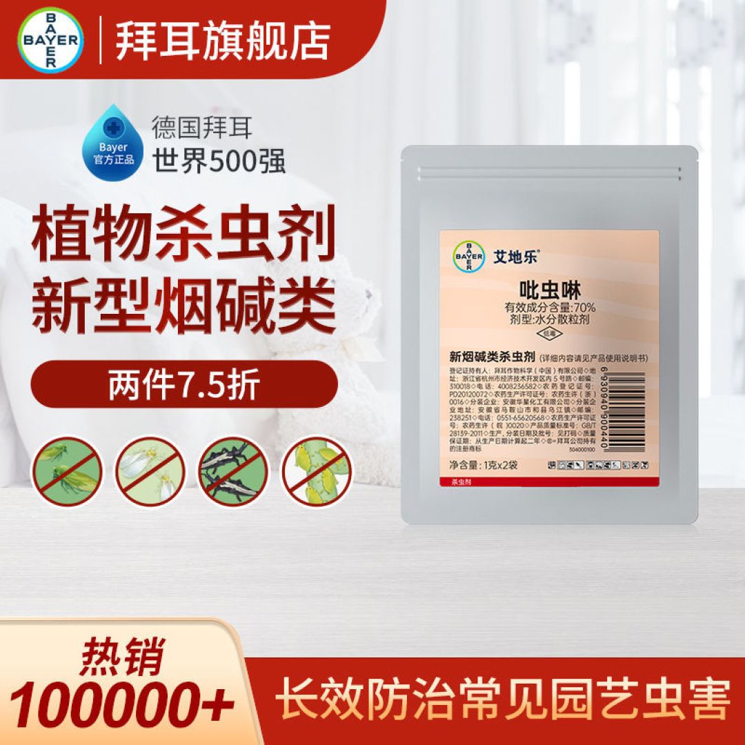 今天给大家看看我家的月季花
