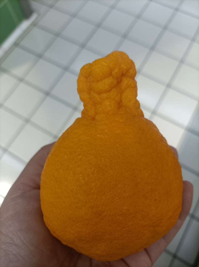 新鲜水果