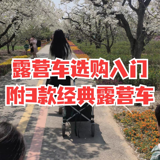 选购露营车必备基础知识！一篇文章简单入门！附超3款经典好价露营车不踩坑！