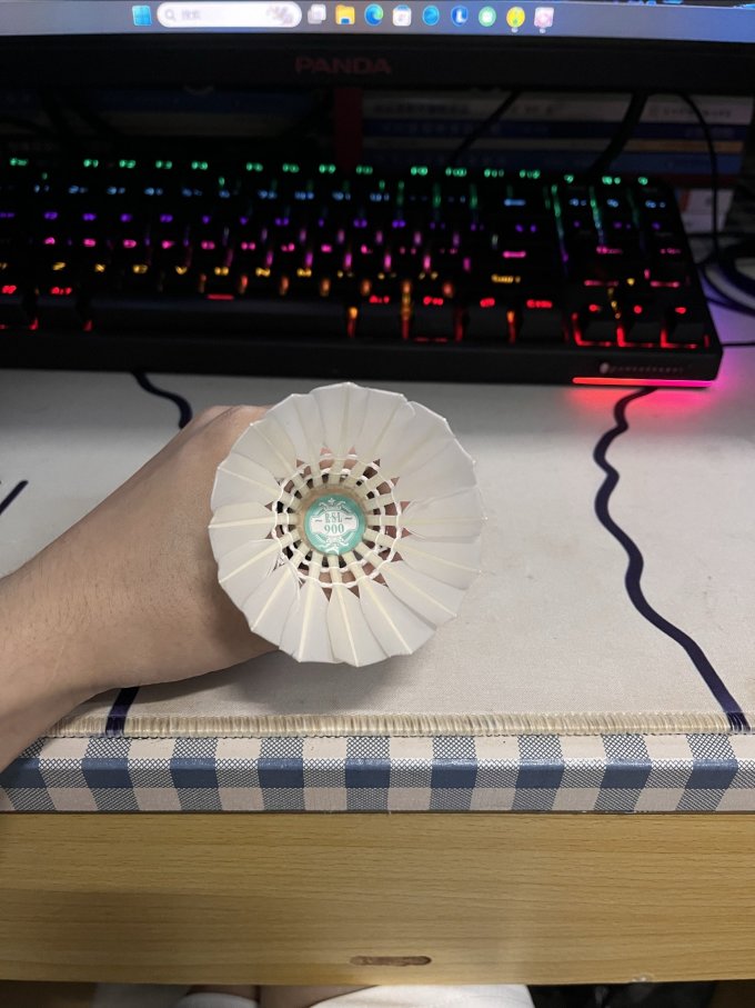 亚狮龙羽毛球
