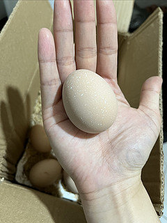 9.9买的20枚鸡蛋到啦🥚