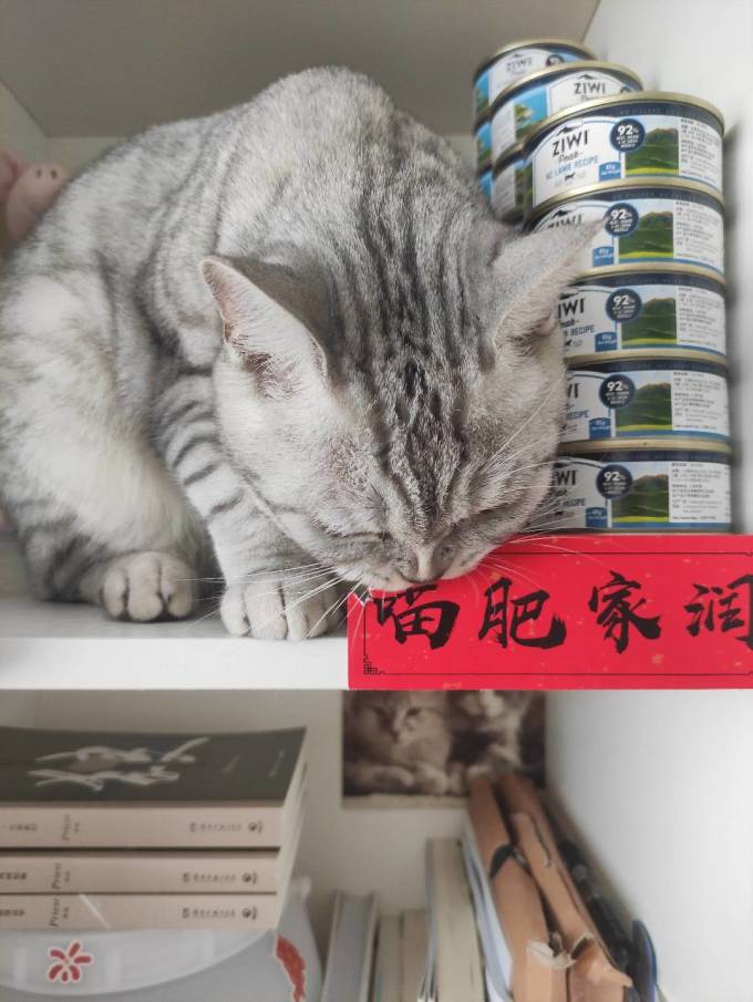 滋益巅峰猫粮