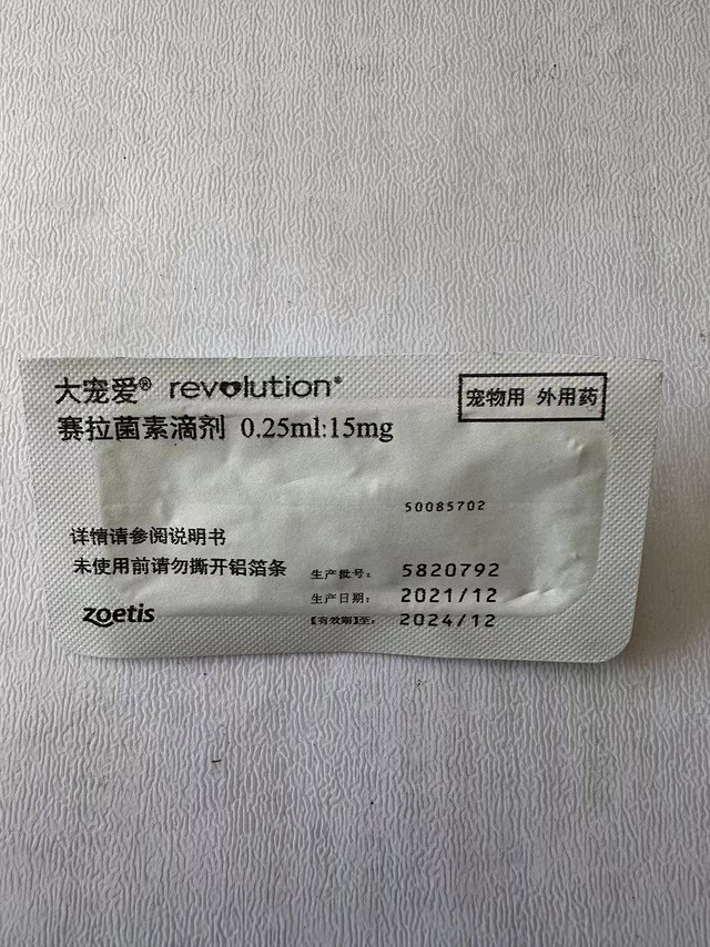 大名鼎鼎的大宠爱，铲屎官必备