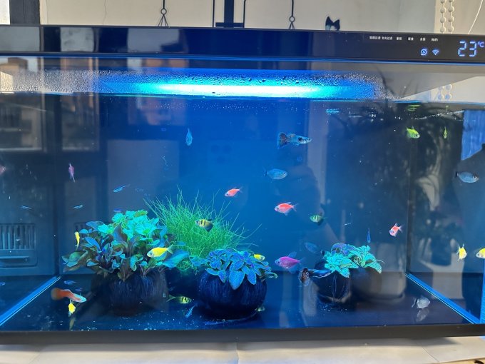米家智能鱼缸/水族箱
