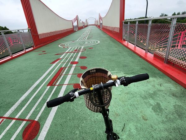 800块的欧亚马折叠车雨中骑成都天府绿道