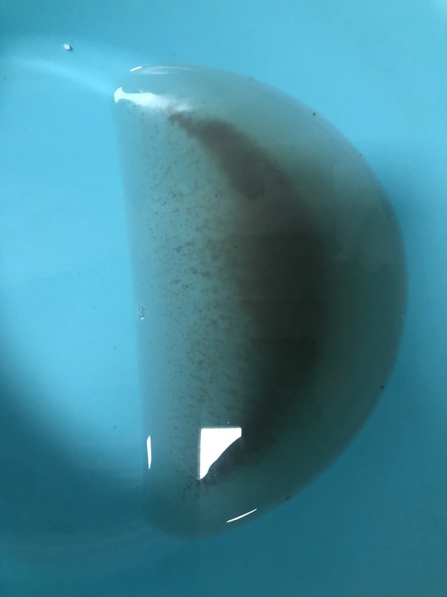 滚筒洗衣机清洗剂到底好不好用？实测图。