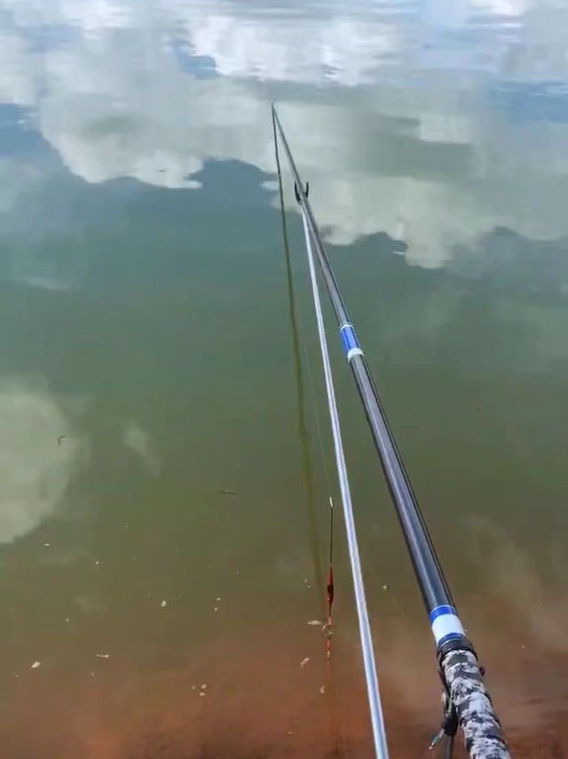 这鱼竿牛掰