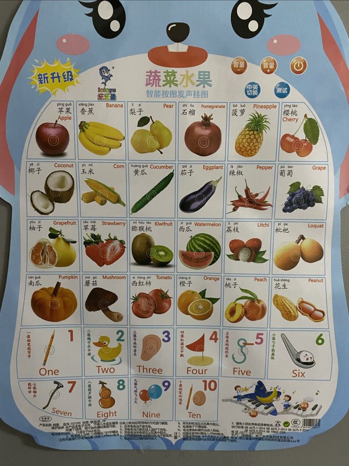 乐乐鱼早教启智