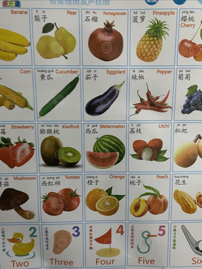 乐乐鱼早教启智