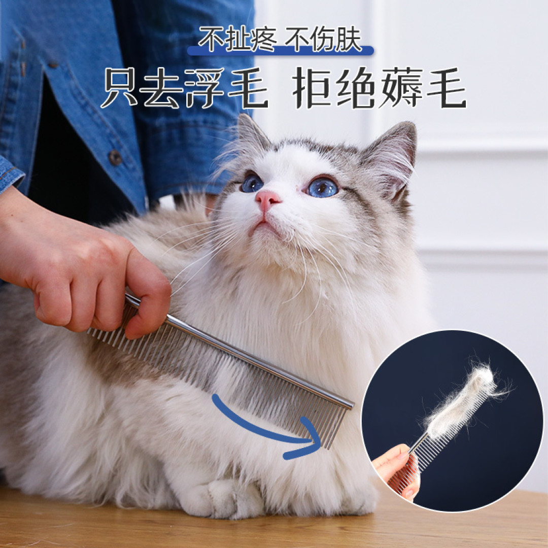 好用的狗狗梳子都在这里！怎么正确给狗狗梳毛+狗狗梳子集合