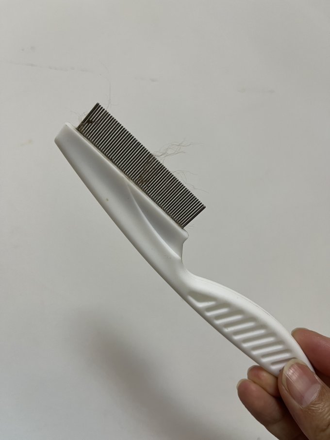 一人二宠宠物梳子/刷子