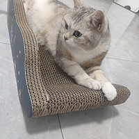 养宠好物推荐 篇四：养猫人抓紧薅这个小沙发，超实用的猫抓板