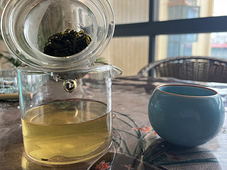 京华16号茉莉花茶试喝