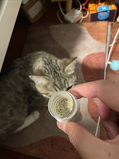 我是不是买到假的猫薄荷了，一脸嫌弃