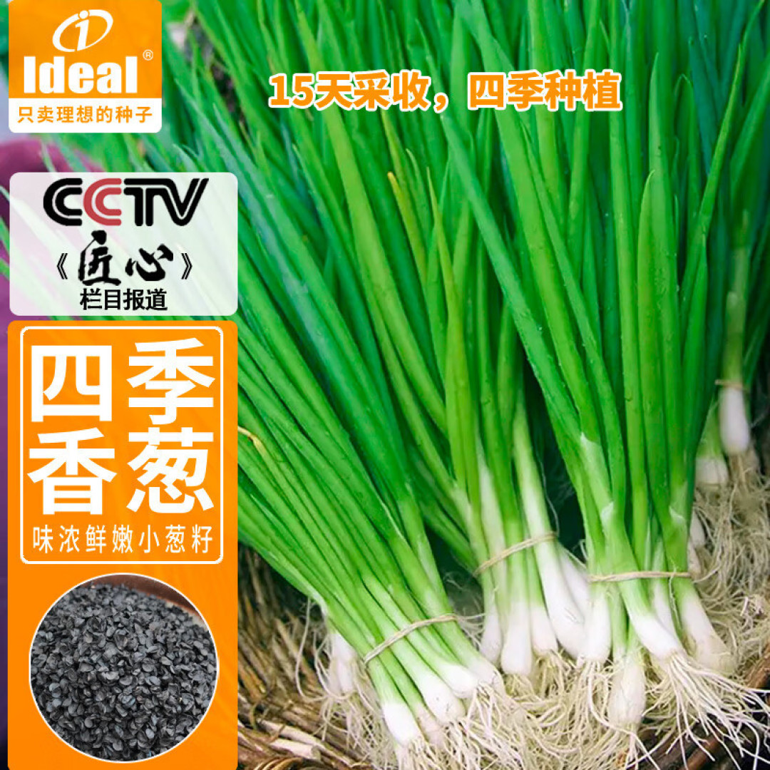 小葱蘸酱,越吃越胖?