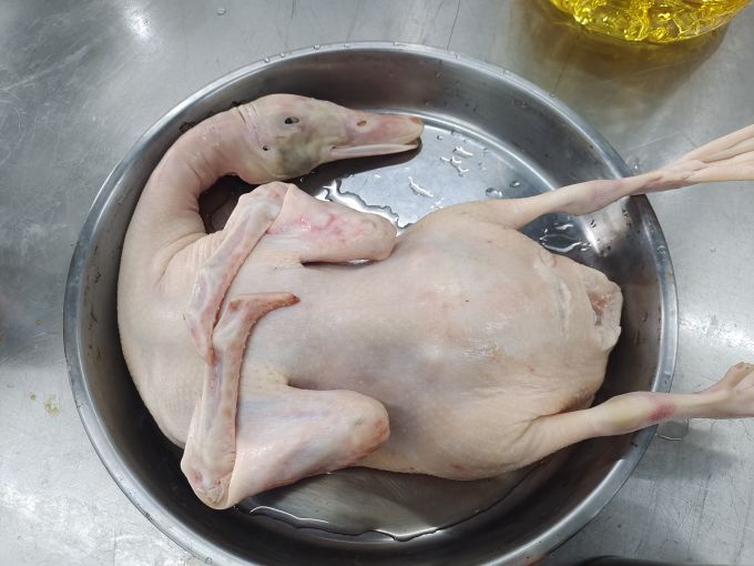 家禽类