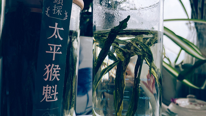 绿茶