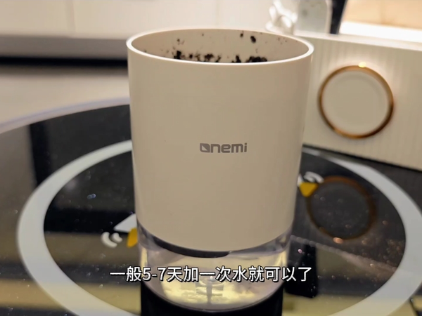 有没有和我一样的懒人，这种方式种菜