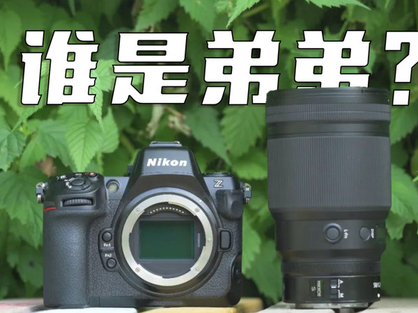 尼康Z8快速上手！谁才是弟弟？