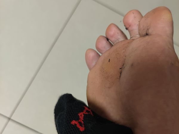 第一次购买猫人袜子，黑  嘿嘿