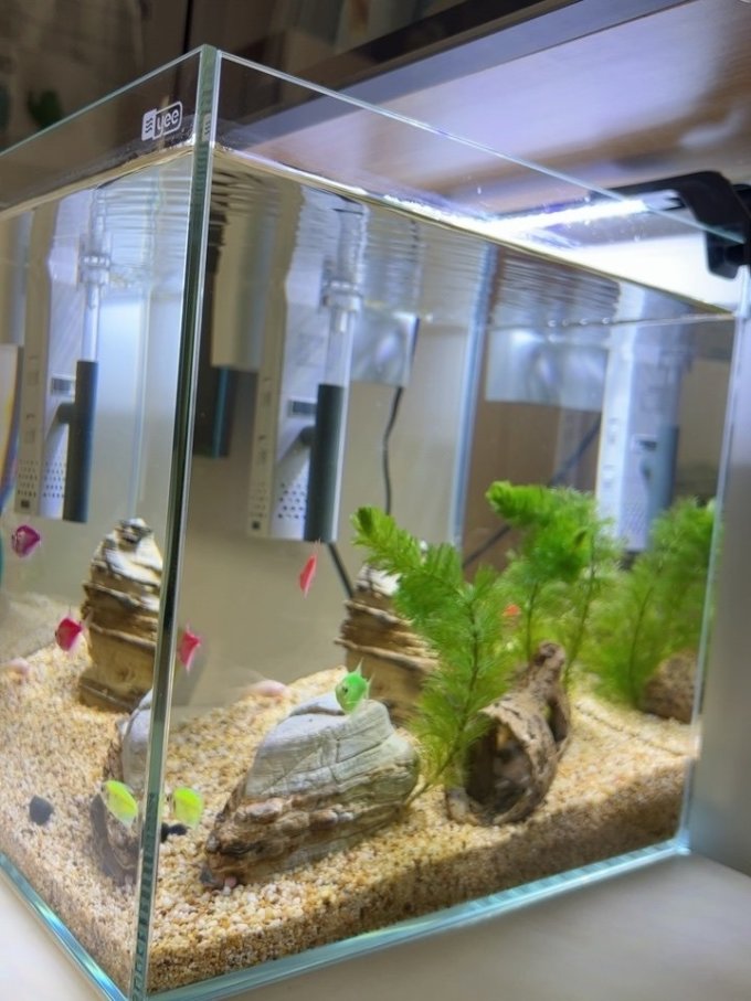 意牌鱼缸怎么样 包装很好,空了几天 又养了几天._什么值得买