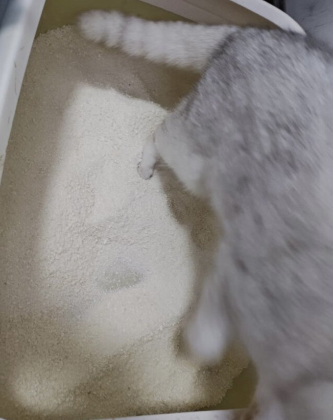 高爷家猫砂