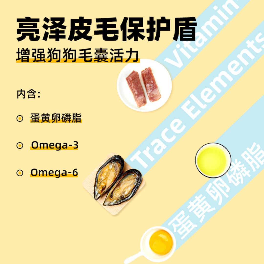 肠胃不好的老年犬吃什么狗粮?12岁狗狗怎么选择狗粮?