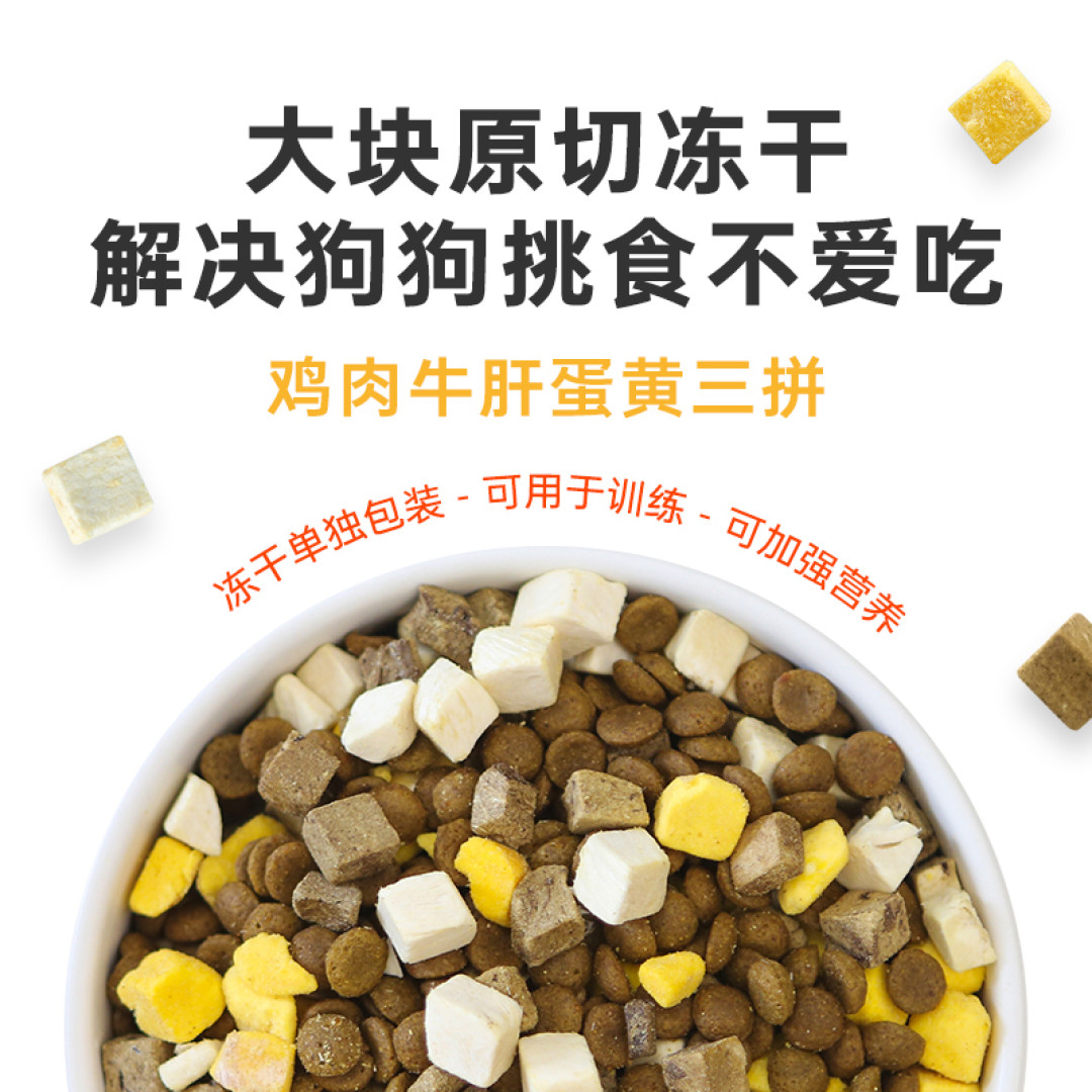 肠胃不好的老年犬吃什么狗粮?12岁狗狗怎么选择狗粮?