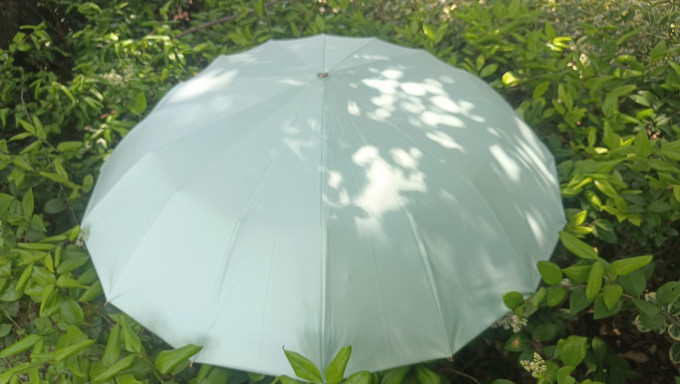 时光情人雨伞