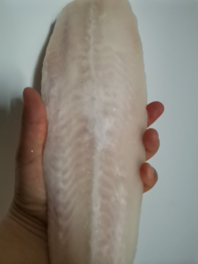 好拾味鱼类