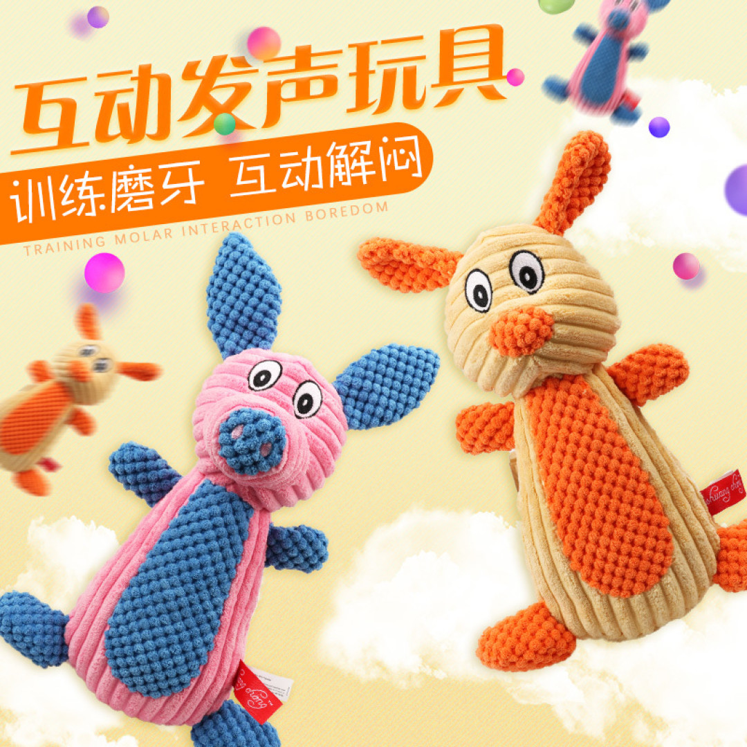 养狗6年丨买的最值的一件养狗好物+狗狗钟爱7年的狗狗用品
