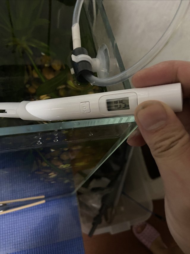 养鱼的真的还是需要这么个小玩意