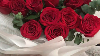 网纱红玫瑰，520送女朋友准没错！