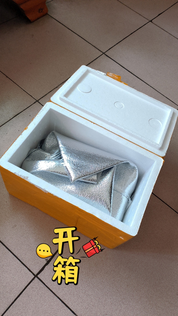 拾小鹿虾类