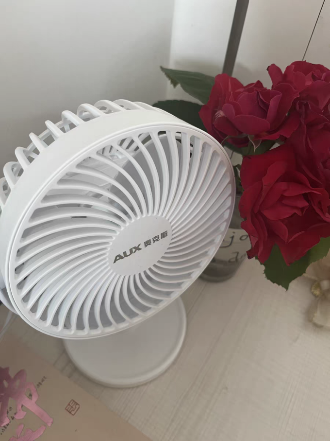 奥克斯电风扇